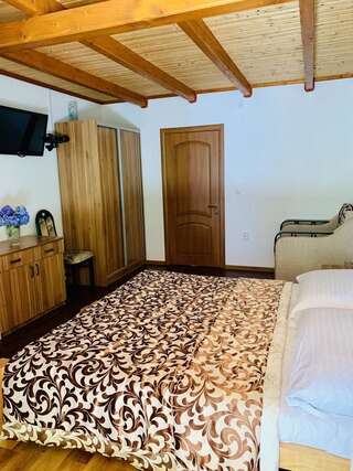 Мини-отель Янтарная форель Bushtyno Двухместный номер Делюкс с 1 кроватью и дополнительной кроватью-4