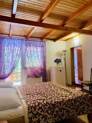 Мини-отель Янтарная форель Bushtyno Двухместный номер Делюкс с 1 кроватью и дополнительной кроватью-8